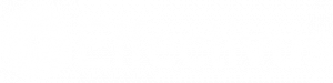 Logo Blanco Effectivus